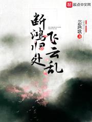 断鸿归处飞云乱封面