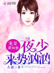 宠妻甜如蜜：夜少，来势汹汹封面