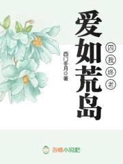 爱如荒岛，囚我终老封面