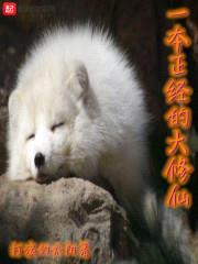 一本正经的大修仙封面