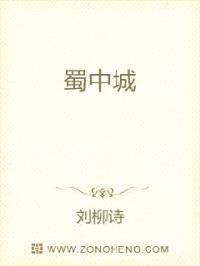 蜀中城封面