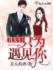 沈先生只为遇见你封面