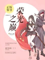 全职高手之荣光之巅封面