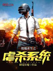 绝地求生之虐杀系统封面