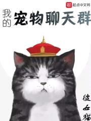 猫大王的聊天群封面
