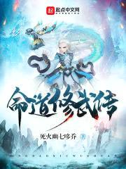 命道修武传封面