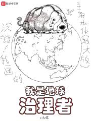 我是地球治理者封面