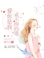 爱你是我戒不掉的毒！封面