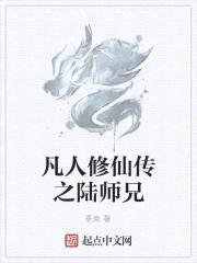 凡人修仙传之陆师兄封面