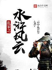 乱宋之水浒风云封面