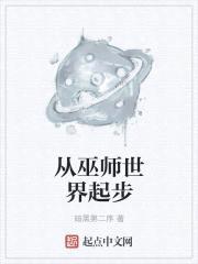 从巫师世界起步封面