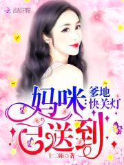 妈咪已送到，爹地快关灯封面