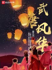 武唐风华封面