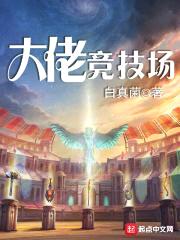 大佬竞技场封面