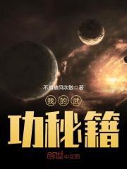 我的武功秘籍封面