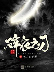碎夜之刃封面