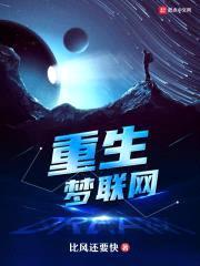 重生梦联网封面