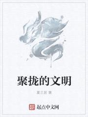 聚拢的文明封面
