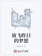 放飞昨日的梦想封面