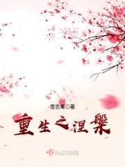 重生之涅槃封面