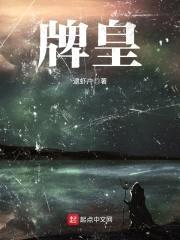 牌皇封面