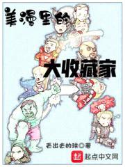美漫里的大收藏家封面