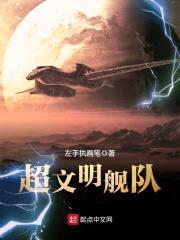 超文明舰队封面