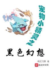 精灵之黑色幻想封面
