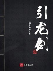 引龙剑封面