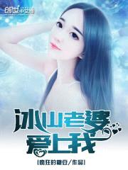 冰山老婆爱上我封面