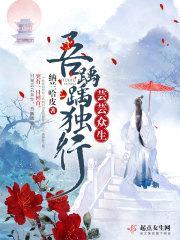 芸芸众生吾踽踽独行封面