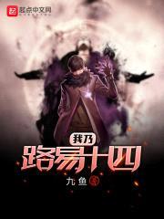 我乃路易十四封面