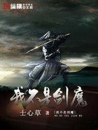 我不是剑魔封面