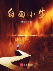 白面小生封面