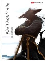重生之我是大反派封面