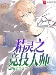 精灵之竞技大师封面