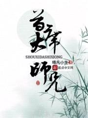 首席大师兄封面