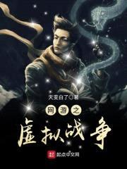 网游之虚拟战争封面