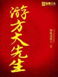 游方大先生封面