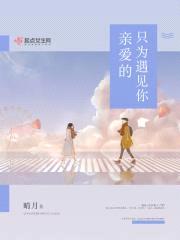 亲爱的只为遇见你封面