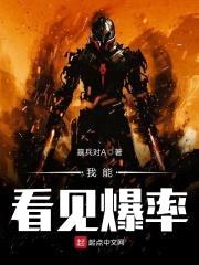 我能看见爆率封面