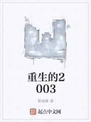 重生锁定2003封面