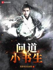 问道小书生封面