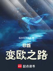 非酋变欧之路封面