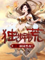 独步神荒封面