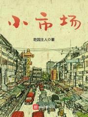 小市场封面