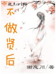 不做贤后封面