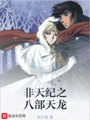 非天纪之八部天龙封面