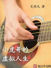 小虎哥的虚拟人生封面