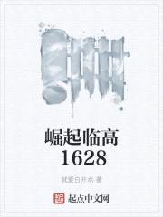 崛起临高1628封面